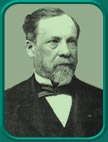 Click to learn more about Pasteur